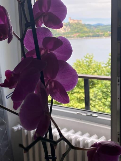 Babalu Con Vista Lago Arona Εξωτερικό φωτογραφία